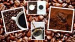 Coffee Supply Chain
