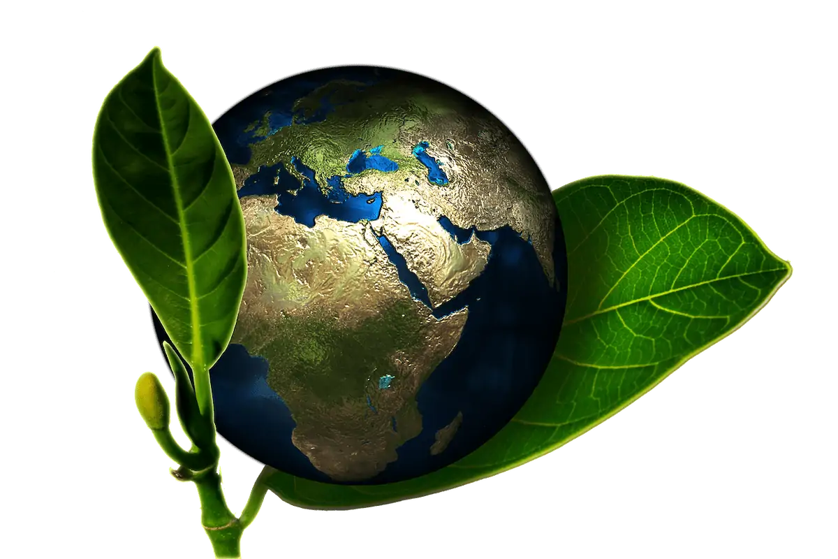 The Green Supply Chain: True Sustainability or Just a Marketing Stunt?