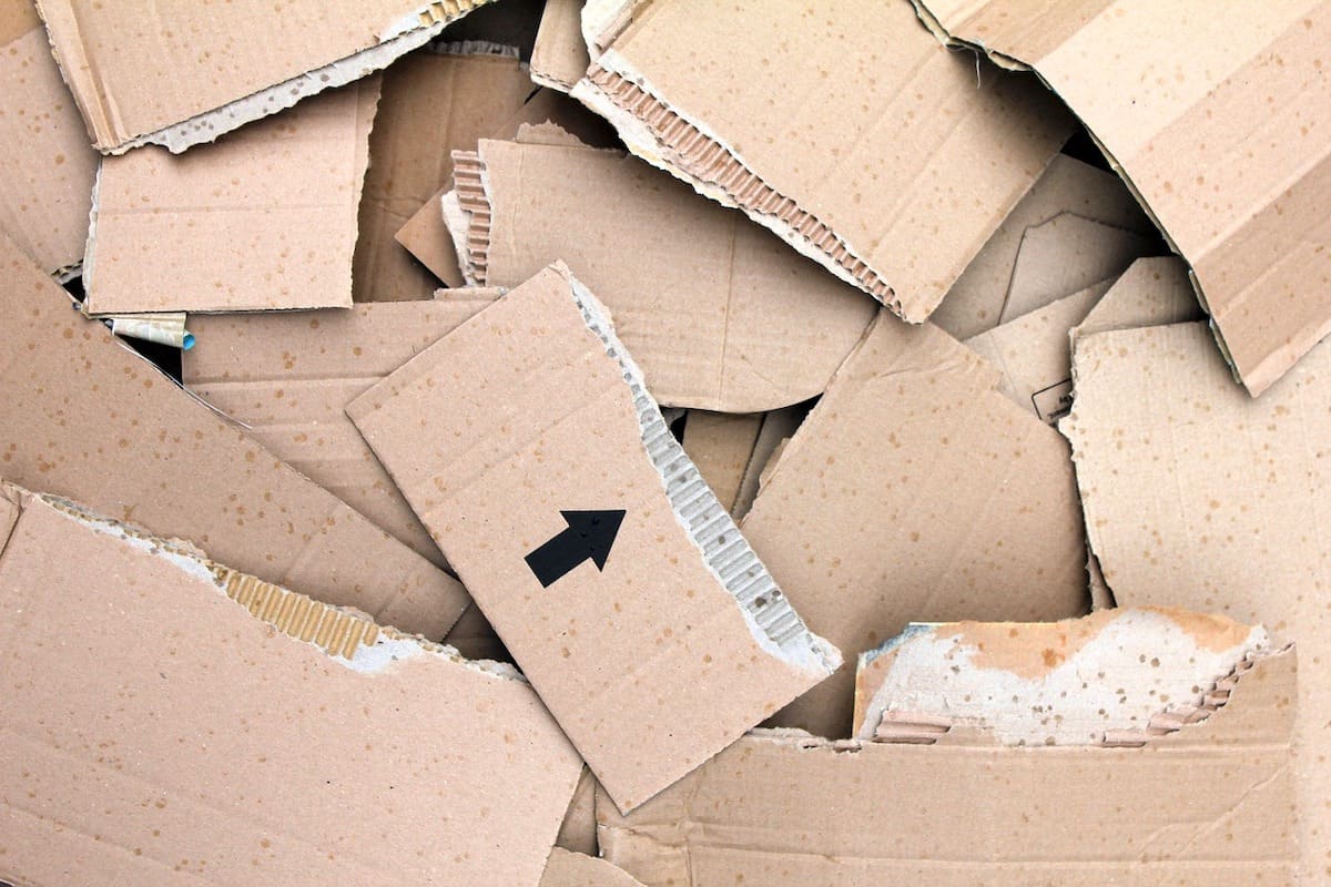 How Eco-Friendly Packaging is Impacting Sustainability!