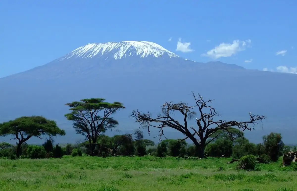 Climbing Mount Kilimanjaro!  Lessons for Life and Business!