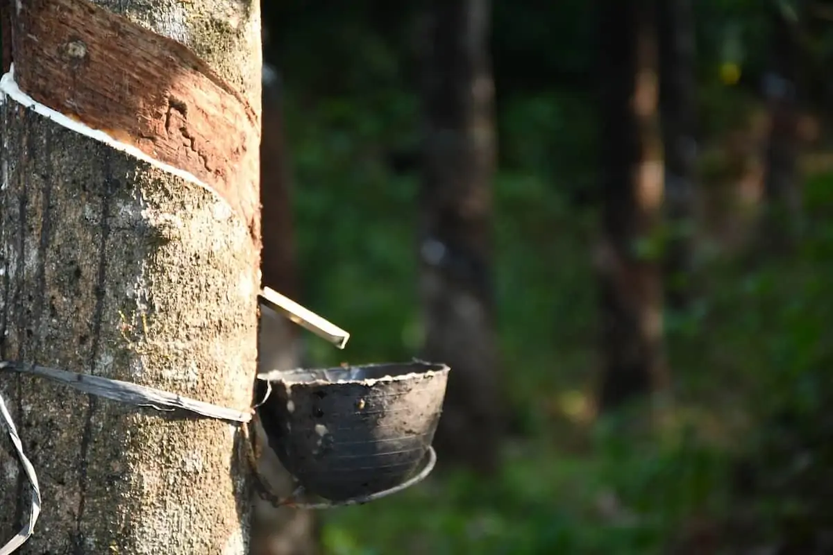 Natural Rubber Supply Chain