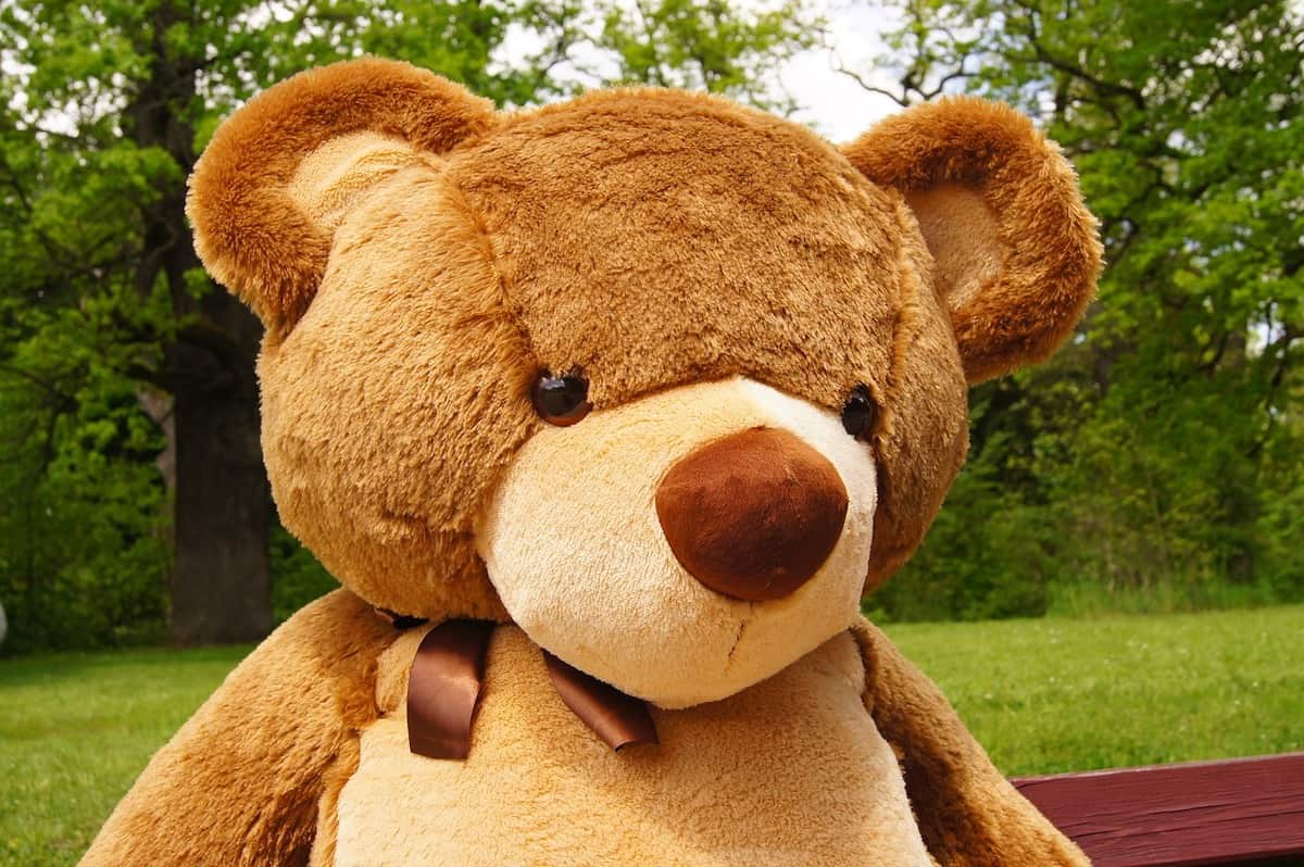 Drop Shipping Teddy Bears!