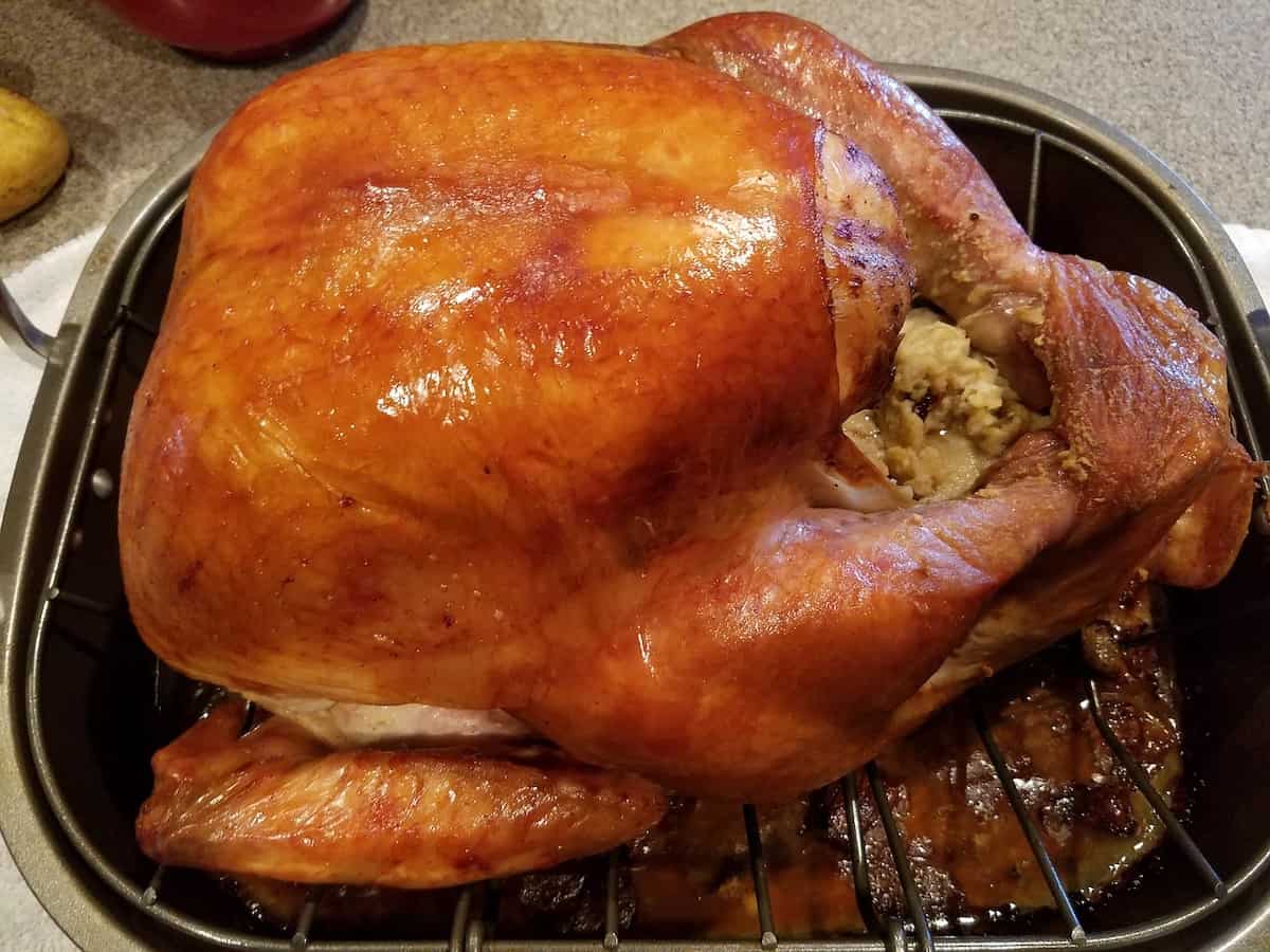 The Thanksgiving Turkey Supply Chain!