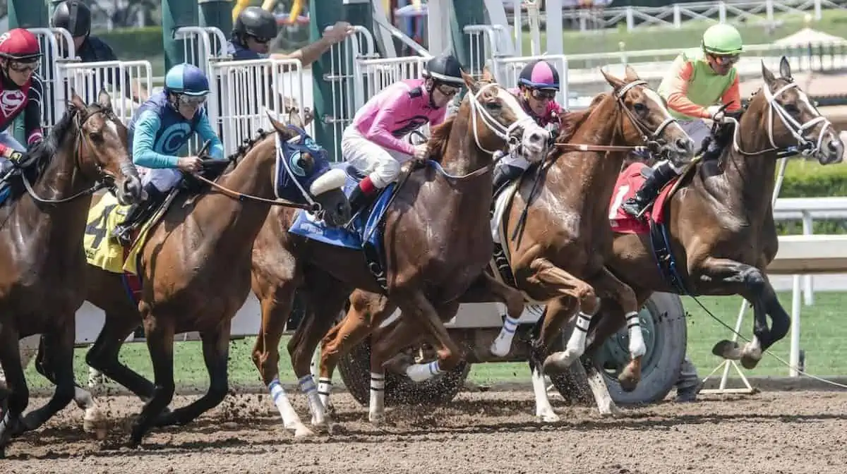 How Technology Has Influenced Accuracy of Horse Racing Results!