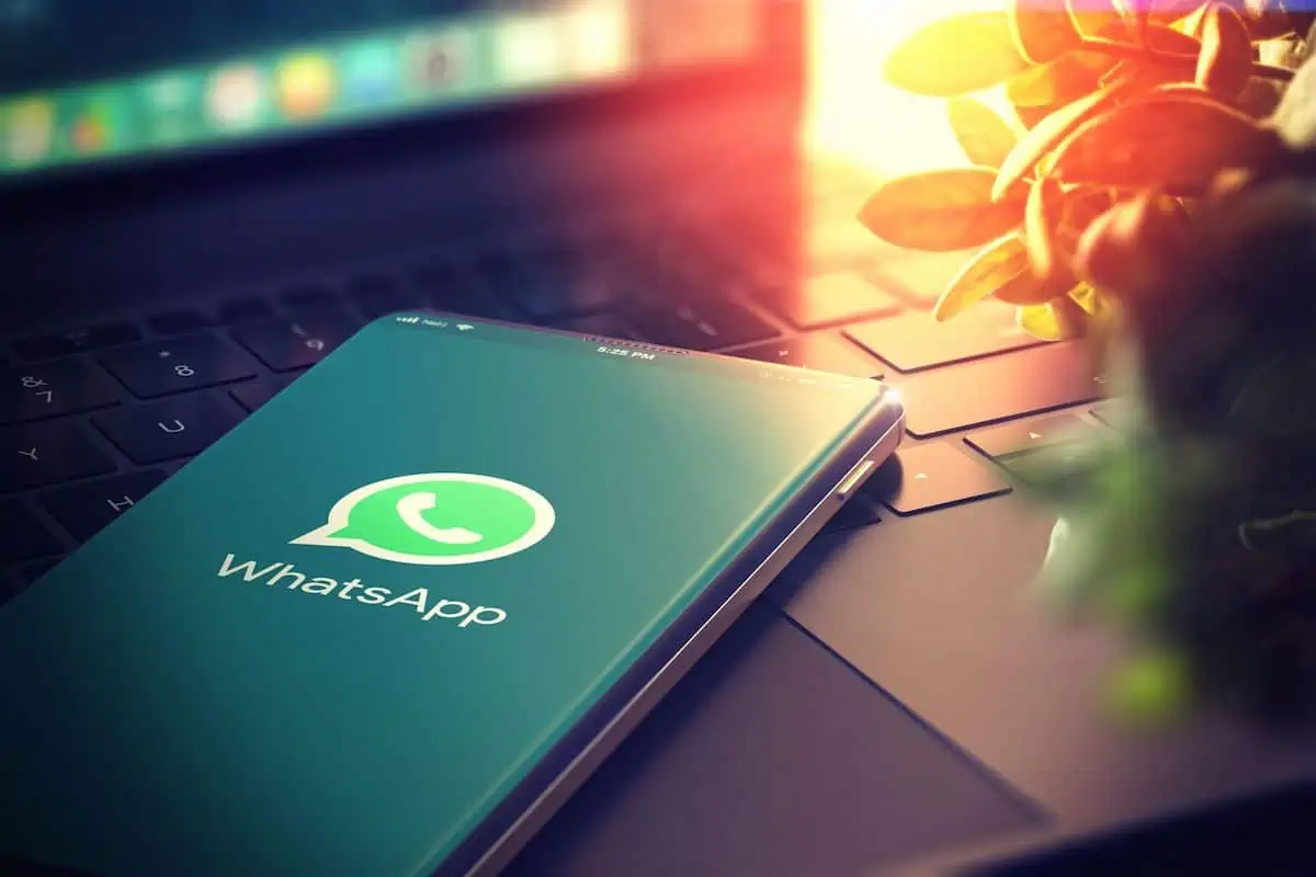 How to Utilize WhatsApp for Business Growth!