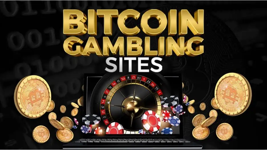 How to Shop for Good Odds on Bitcoin Bookmakers!