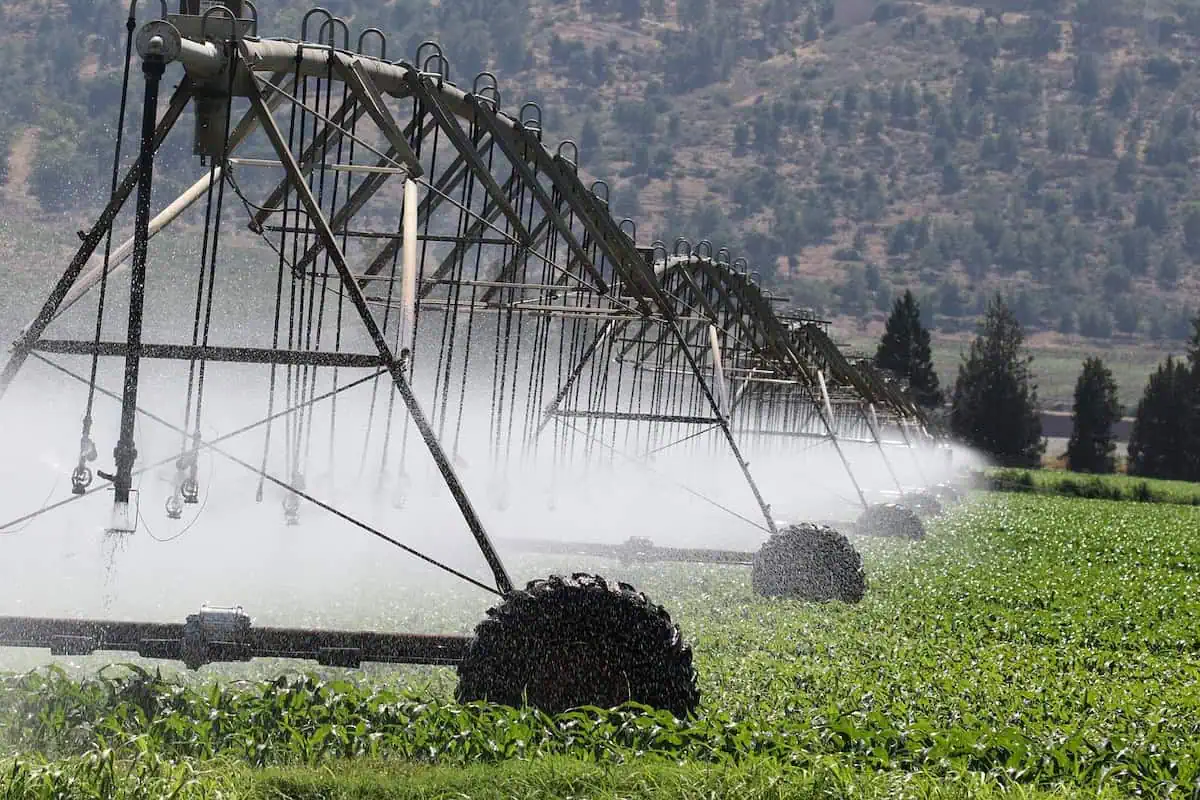 Key Benefits of Grundfos Pumps in Agricultural Irrigation Systems!