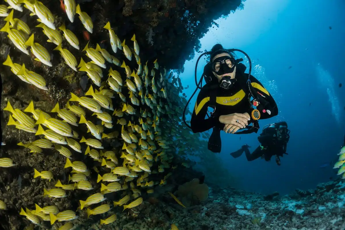 Scuba Education